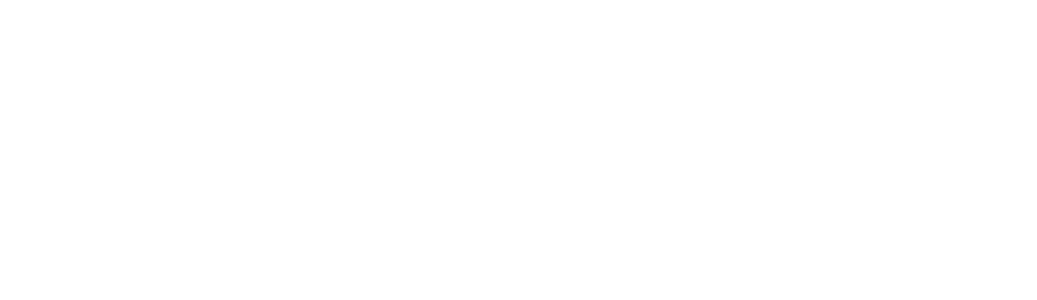 BITPRO 2. LOGO BLANCO